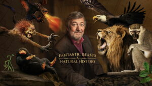 Fantastic Beasts: A Natural History