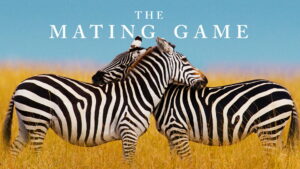The Mating Game (2021)