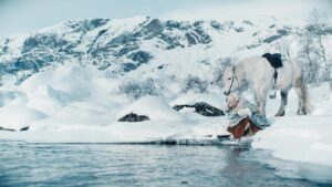 Three Wishes for Cinderella