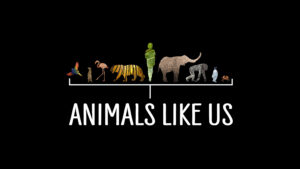 Animals Like Us (2024)