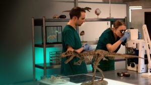 T. Rex Autopsy