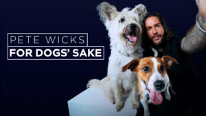 Pete Wicks: For Dogs’ Sake
