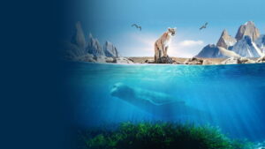 Patagonia: Life on the Edge of the World