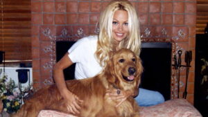 Pamela, A Love Story