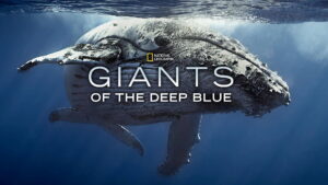 Giants of the Deep Blue