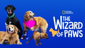 The Wizard of Paws