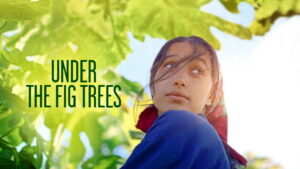 Under the Fig Trees