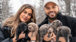 Must Love Dogs (TV Series 2025– )