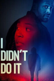 I Didn’t Do It