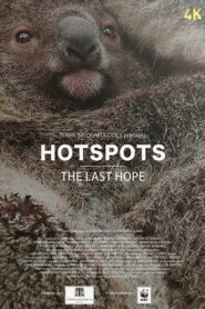 Hotspots: The Last Hope
