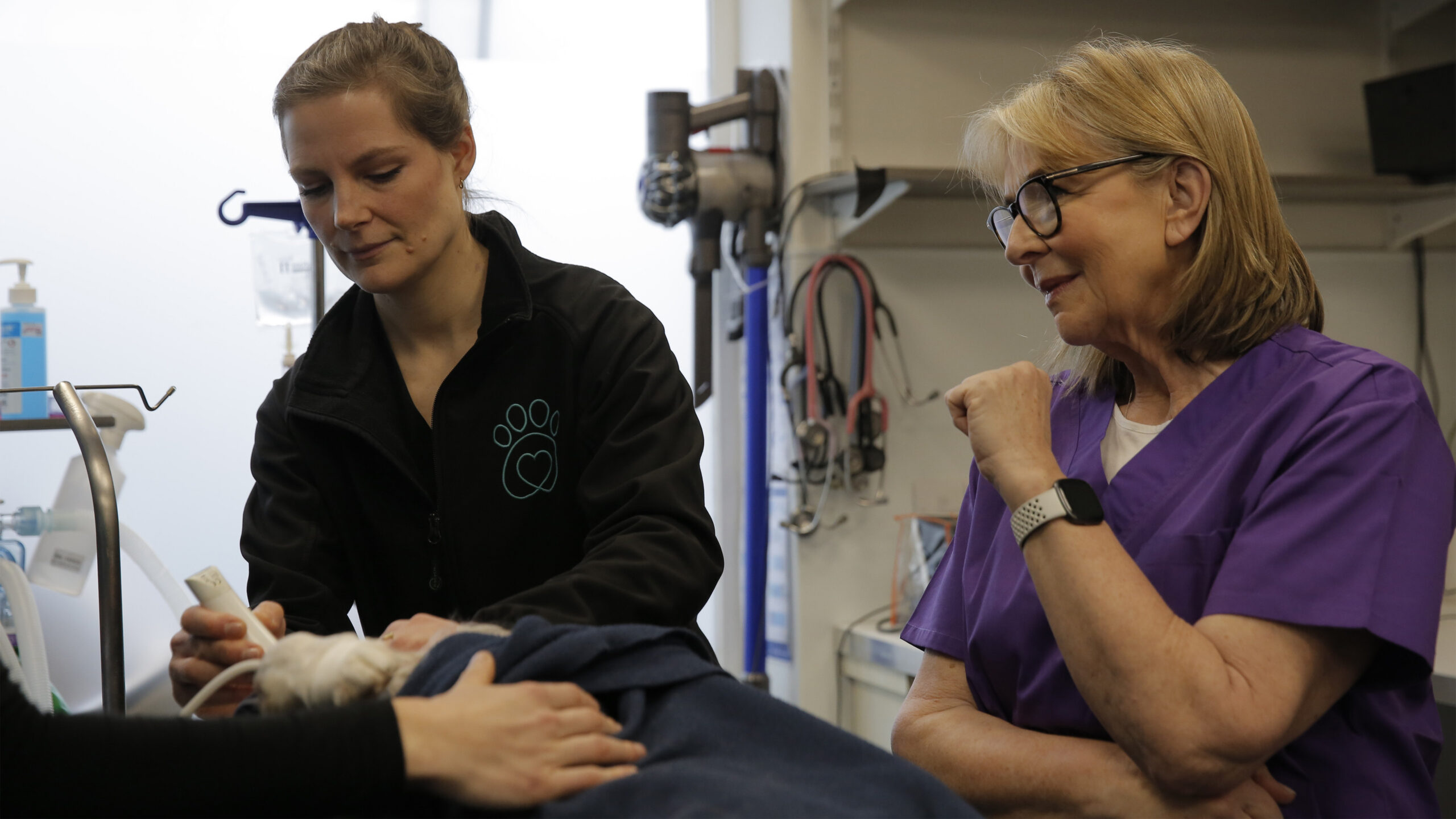 Fern Britton: Inside the Vet’s (TV Series 2025– )